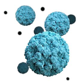 3D-Darstellung des Norovirus. Credits: CDC