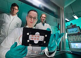 Gemeinsam untersuchen Forschende des Fraunhofer ITEM, des Fraunhofer IWS und der Universität Regensburg die Metastasierung von Tumorzellen in mikrophysiologischen Systemen. © minkus-images.de/Fraunhofer IWS
